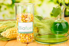 Soyal biofuel availability